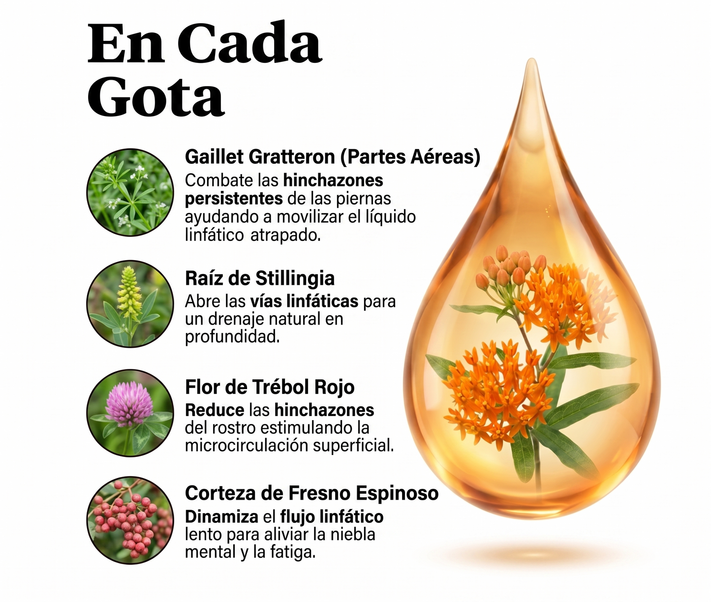Gotas para Drenaje Linfático