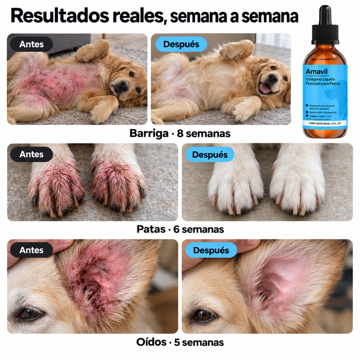 Resultados reales en barriga, patas y oídos semana a semana