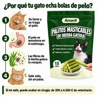 Por qué tu gato echa bolas de pelo y cómo la fibra de la hierba gatera ayuda a que salga solo