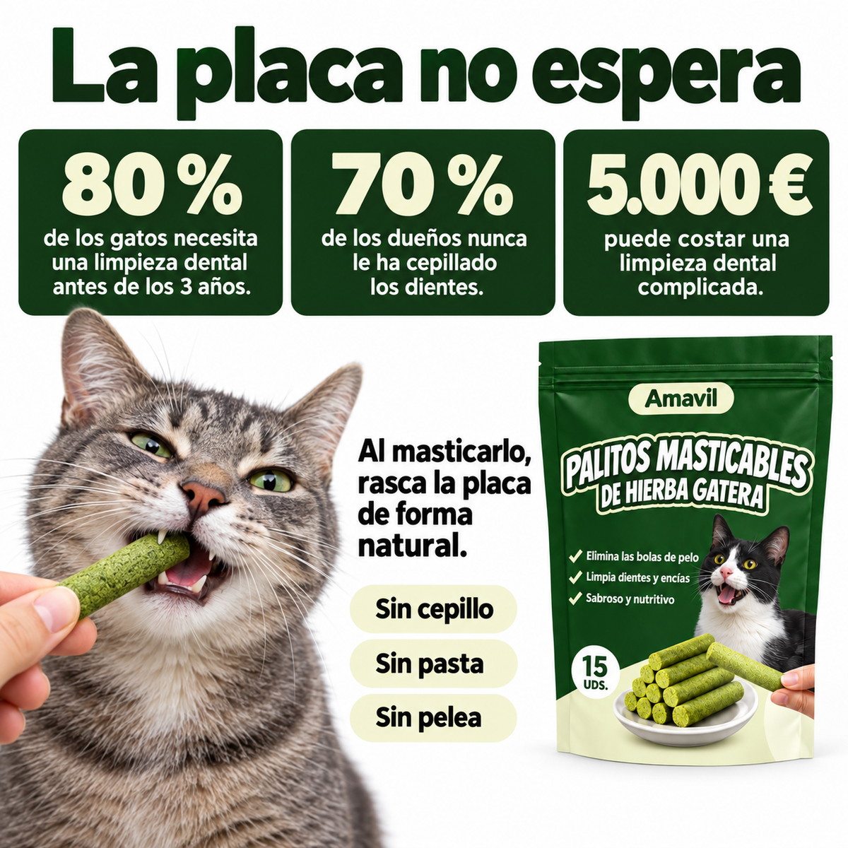 La placa no espera: 80 % de los gatos necesita limpieza dental antes de los 3 años