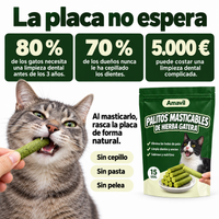 La placa no espera: 80 % de los gatos necesita limpieza dental antes de los 3 años
