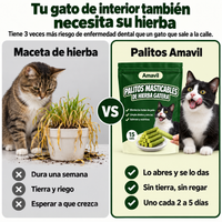 Maceta de hierba frente a Palitos Amavil para gatos de interior